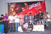 Maa Nana Police and Jagathjentri Audio Launch